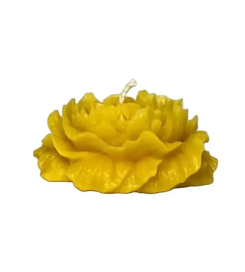 Why Beeswax Candles Are the Eco-Luxury Choice to Reduce Indoor Pollution - Mêl Llŷn