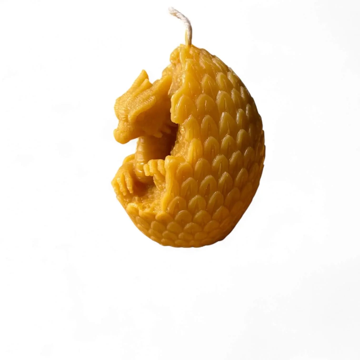 Yellow Welsh dragon egg candle with detailed scales and curled dragon inside on white background