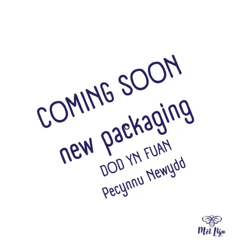 100g Welsh Honey Fudge - Sweet Treat from Wales