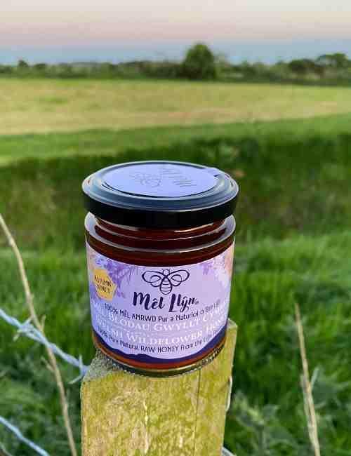 Jar of Mel Llyn Welsh raw seasonal wildflower honey on wooden post in green field at sunset