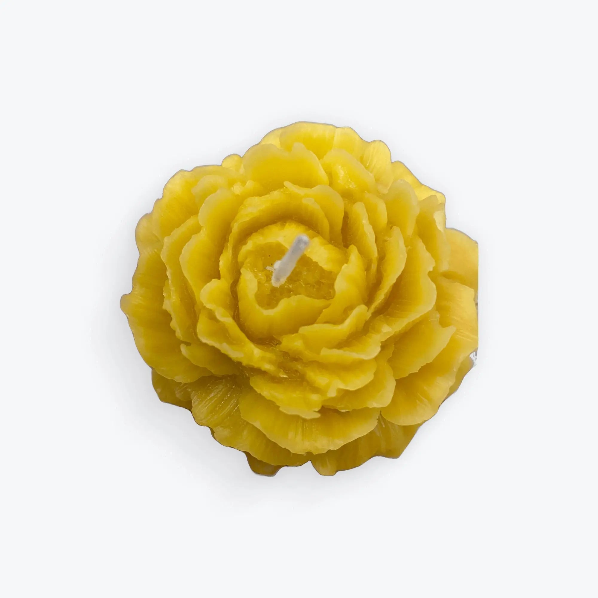 Natural British beeswax candle shaped like a detailed yellow rose on white background