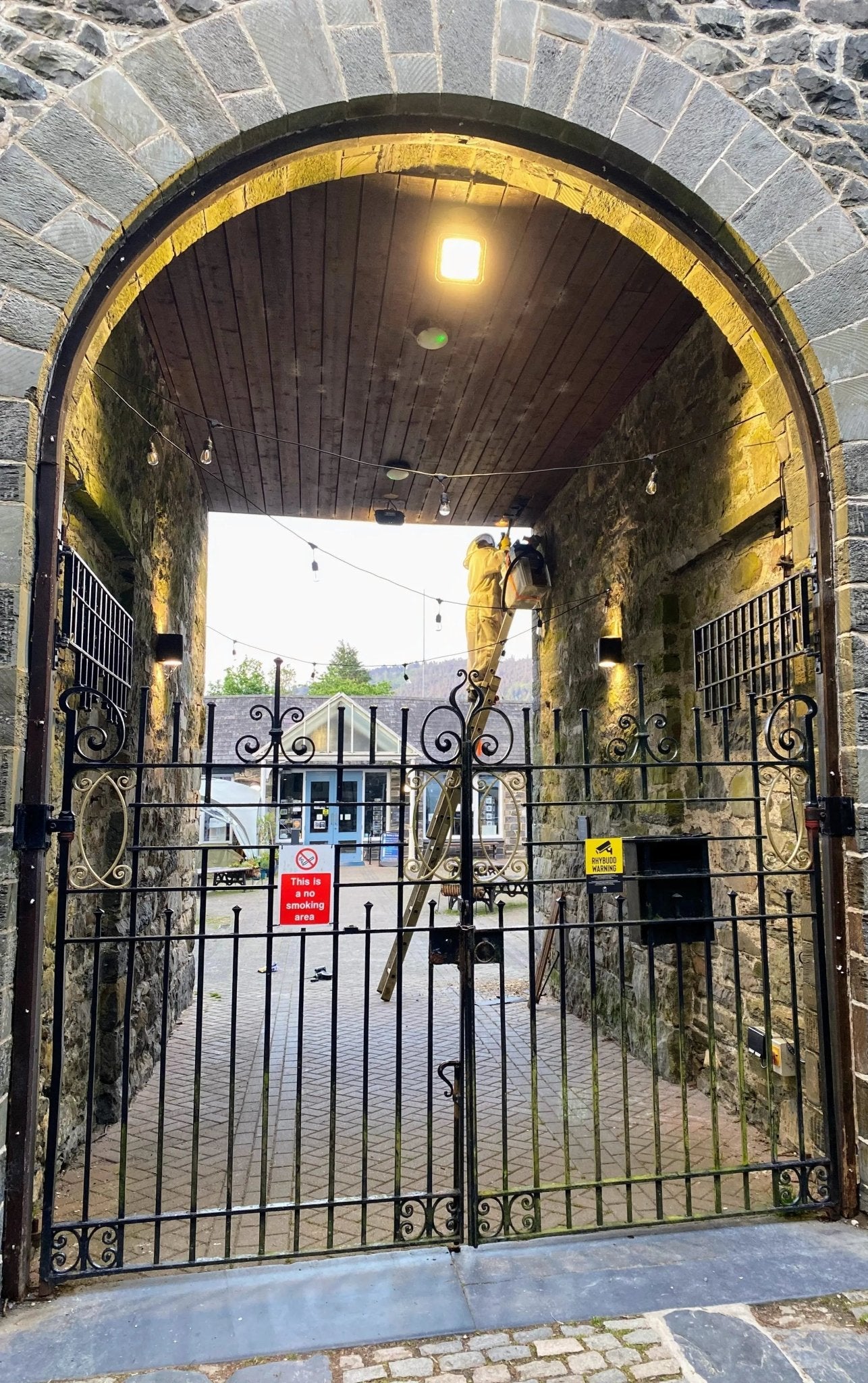 Bee Removal Service - Mêl Llŷn