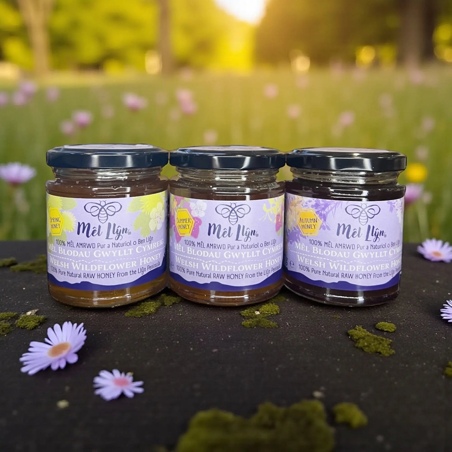Welsh Honey - Mêl Llŷn