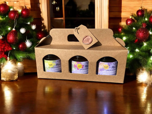 Set of 3 Raw Welsh Seasonal Honey Gift Box - Mêl Llŷn